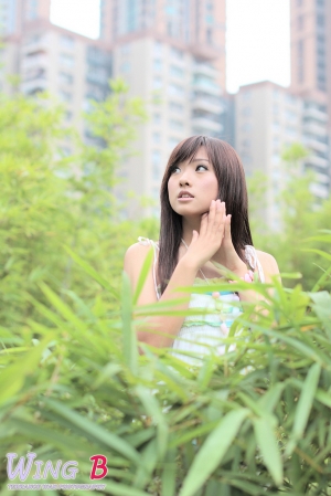 清爽