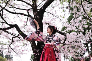 阿里山‧櫻の恋人