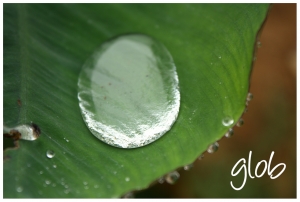 glob