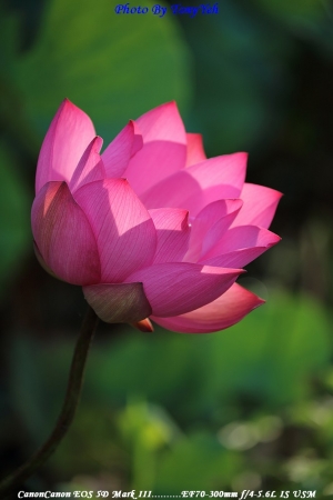 重溫新竹小江南-THE ONE南園風情 ... By TONY