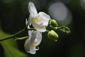 最近比較少出去翻翻舊照片..