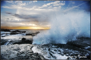 一張流 你今天噗浪了嗎?