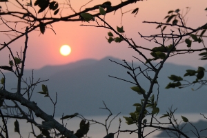 幾度夕陽紅