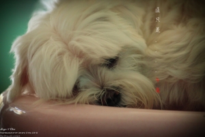 只是........其中的一個午後