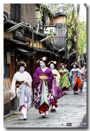 京都祇園 - 舞妓藝妓正月初訪 -