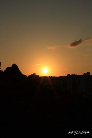 【1000D】夕陽西下!!