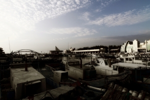 12/11永安漁港隨拍