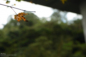 石碇-烏塗溪步道