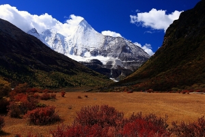 最後香格里拉稻城亞丁〔八〕－亞丁洛絨牛場、卓瑪拉措