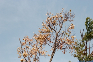 台灣歷史博物館&nbsp;&nbsp;旅拍&nbsp;&nbsp;&nbsp;&nbsp; ( 小小白IS