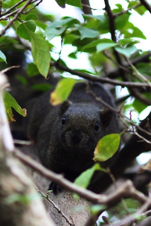 公園散步-意外收穫