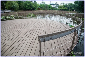 2012 杰克的隨拍 (20) 要有眼神光和微血管是吧?