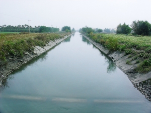 鄉村風景