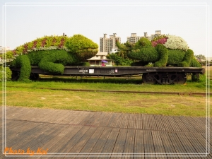 【SX50 HS】141101--再臨駁二