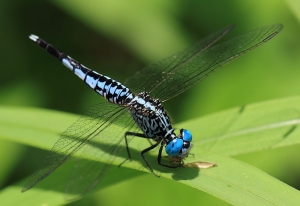 可愛 vs 可怕......