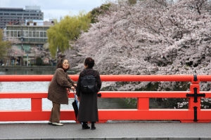 2011、京都、春浪漫-3 平安神宮篇 (40pcs)