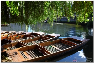 U.K.(英國) - Vol 1 劍橋 (Cambridge) - 最多諾貝爾獎得主的學府