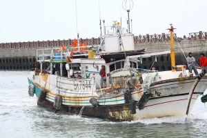 永安夜景~請大大多多毒舌指教