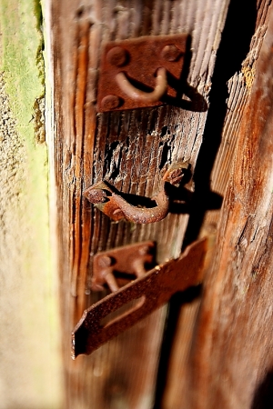 Canon 40D + 16-35L & Contax 50mm/f1.4