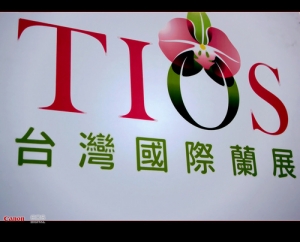 2008國際蘭花展