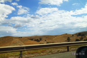 南澳(South Australia)隨拍