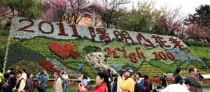 2011 陽明山花季