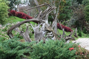 雪霸農場EF24-105mm實拍點滴