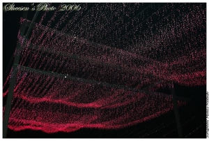 EFS 18-55mm f/3.5-5.6 II