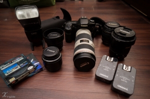 2013 武陵農場 - 櫻