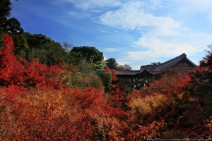 京阪散策 洛南篇
