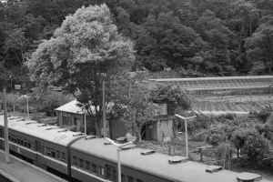 三義~舊山線懷舊之旅