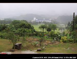 [50D]鴻禧後山隨拍