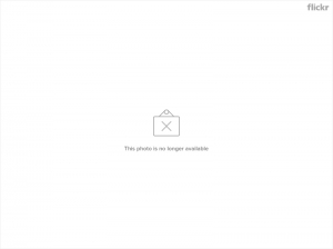 黑貓隨拍 <2P>