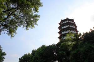八卦山景