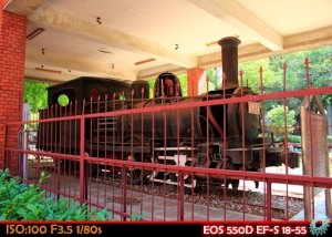 成大、七股隨手拍