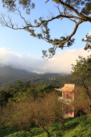 雪霸公園+陽明山隨手拍
