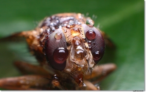 ●●●花了半小時就為了這一張●●●By雙胞胎媽媽