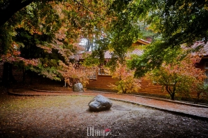 福壽山 說好的晴天呢 ?