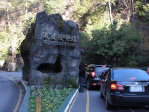 共相盛(擠)去-武陵農場