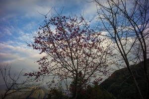 竹東山上~山上人家剛好休息了!