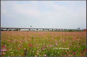 2009台灣燈會in宜蘭