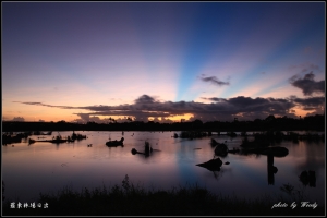 羅東林場日出（一張）