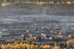 北疆 禾木村的早晨 夕陽 與羊群