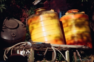 FUJI PRO PULS II 100 [底片]