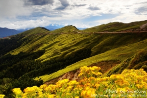 那一天,合歡山風起雲湧 -阿生