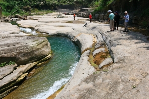 端午假期三之一&nbsp;&nbsp;嘉義太和茶園暴藍天