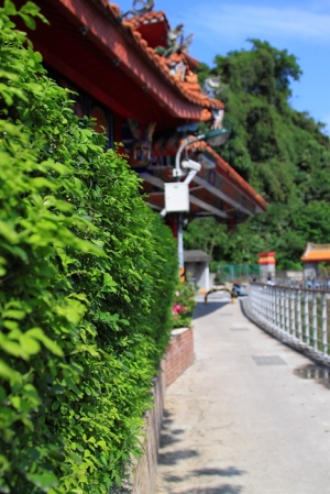 【寶藏巖】尋找都市中有趣的角落