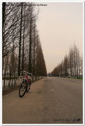大陸太倉腳踏車之旅