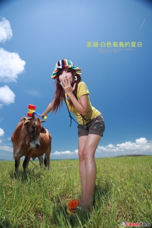 果兔‧白色菊島的夏日