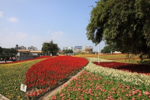 初五花博遊 風景(24p)~